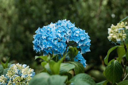 A selective focus shot of a little bouquet of tiny blue flowers