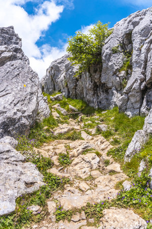 The rocky top of the Mount Aizkorri, Guipuzcoa in Basque Countryの写真素材