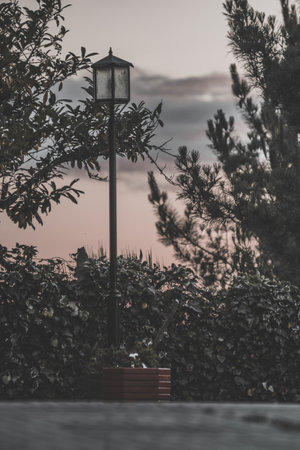 A vertical shot of a street lamp surrounded by trees and plants captured at sunsetの写真素材