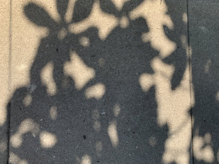 A closeup shot of the sunlight on a wall with the shadows of leaves