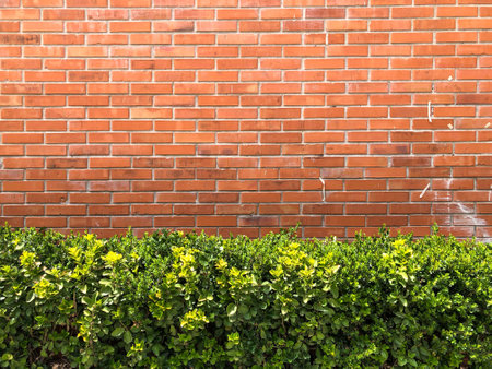 A red brick wall in a garden and green plants - perfect for background designの写真素材