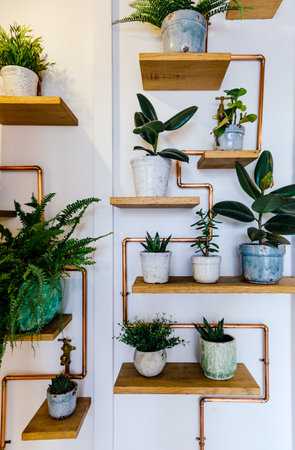 A vertical shot of flowerpots of plants on wooden shelves on a white wallの写真素材