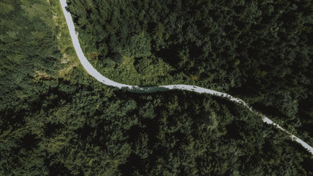 An aerial overhead shot of a long road leading through dense green treesの写真素材