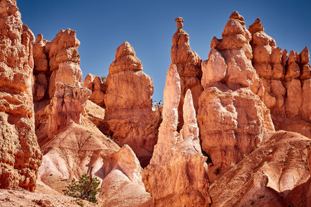 A beautiful scenery of a canyon landscape in Bryce Canyon National Park, Utah, USA
