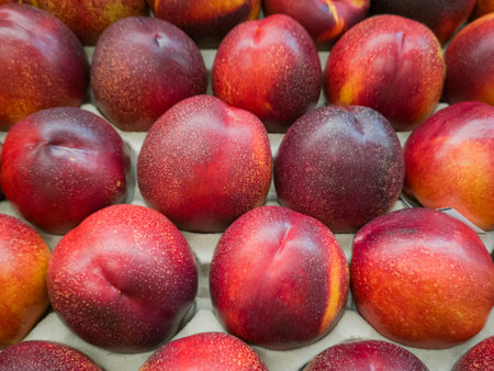 A top view of nectarines on a white surface