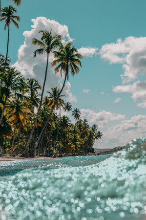 A vertical shot of palm trees on sandy beachの写真素材