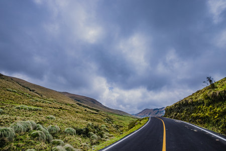 An empty road in nature under cloudy skyの写真素材