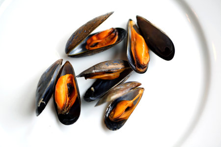 A high angle shot of mussels on a white plat