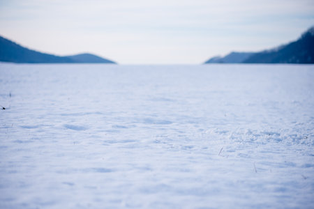 A selective focus shot of the heavy snow on the ground in the natureの写真素材