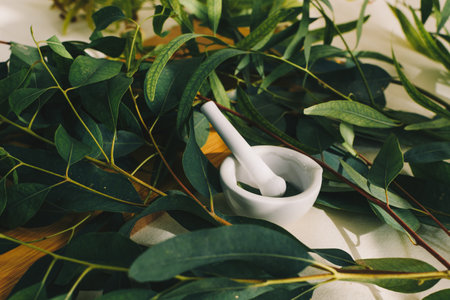 A small white ceramic mortar, with eucalyptus leaves - beauty and spa conceptの写真素材