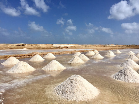 A closeup of piles of evaporated rasalt in a salt farmの写真素材