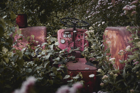 A ruined abandoned car in a field covered in flowers at daylight