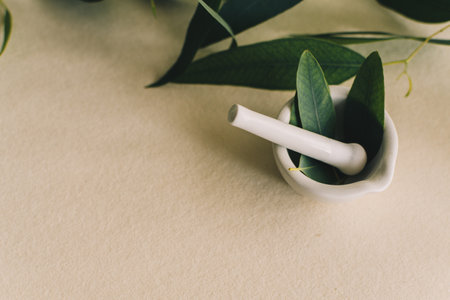 A small white ceramic mortar, with eucalyptus leaves - beauty and spa conceptの写真素材