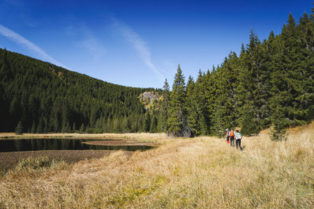 Three hikers on a trail along a scenic landscape with mountains, trees and a lake