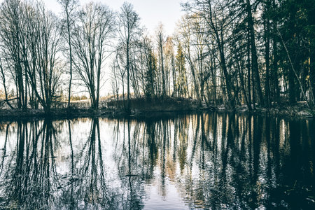 A fantastic autumn bare trees view with reflections on a forest lakeの写真素材