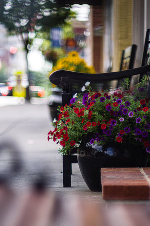 A pot of flowers next to bench on sidewalk in Manassas, VAの写真素材