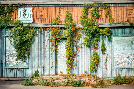 Th facade of an old, abandoned shop overgrown with vinesの写真素材