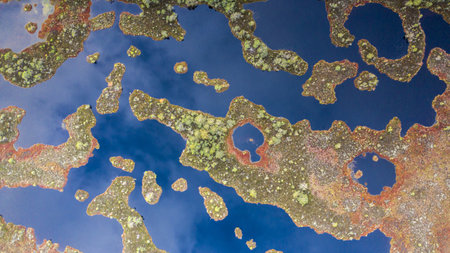 Aerial view over peat-bog landscape with the complex lake and  pool ridge patterns. in W-Estonia, Europe. Peatlands are important carbon depositsの写真素材