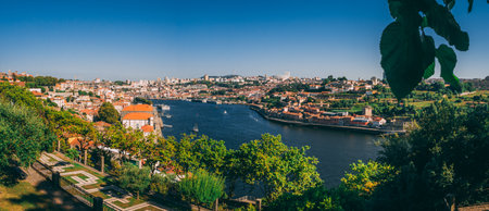 A high angle shot of the gardens of Palacio de Cristal, Porto, Portugalの写真素材