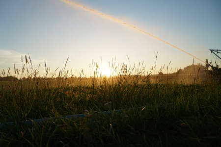 A beautiful shot of a watering system in farmland on a clear sky backgroundの写真素材