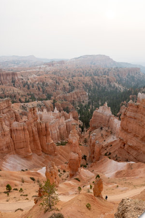 A vertical shot of badlands surrounded by greenery at the Bryce Canyon National Park in Utah, the USの写真素材