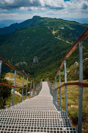 A vertical shot of a boardwalk surrounded by greenery in Ceahlau National Park, Romaniaの写真素材