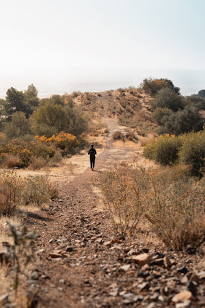 A vertical shot of a hiker going up a hill surrounded by trees and bushesの写真素材