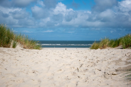 A closeup shot of blue sky over white sand and green beach grassの写真素材