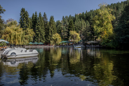 A mesmerizing shot of a calm lake surrounded by greenery in Bulgaria