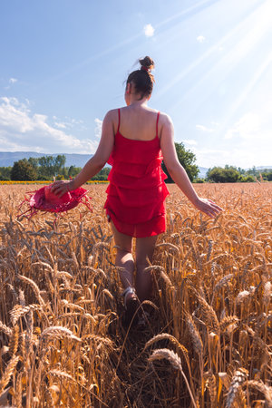 A mesmerizing shot of an attractive female in a red dress posing at camera in a wheat fieldの写真素材