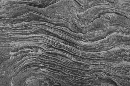 A closeup shot of abstract gray stone textural details