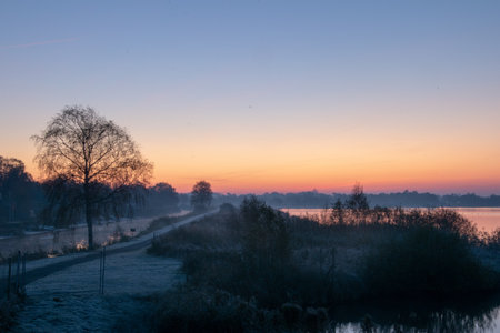 A beautiful shot of tree silhouettes on a lake with a colorful sunset sky backgroundの写真素材