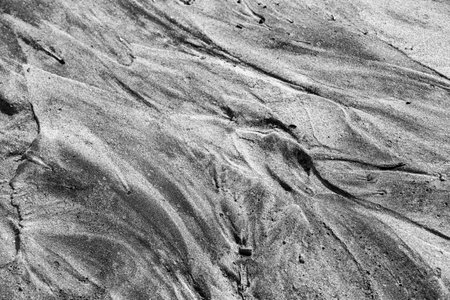 A perfect abstract pattern of sea sand formed after the tideの写真素材