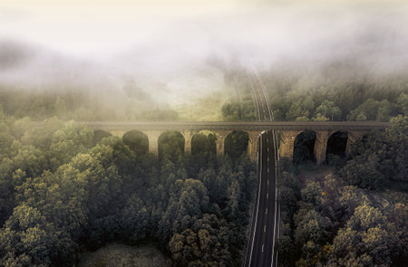 An aerial view shot of a road surrounded by greenery and clouds