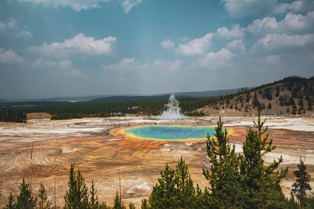 A beautiful shot of an oasis surrounded by land and a forested mountainsの写真素材