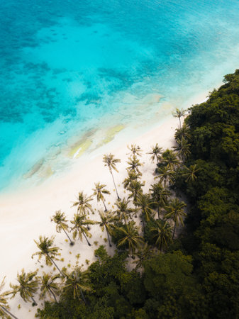 An aerial shot of the ocean waves hitting the sandy beach covered in greens