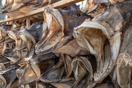 A closeup shot of a big stack of dried stockfishの写真素材