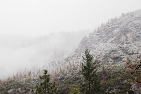 A stunning low angle shot of Yosemite National Park scenery in California, USAの写真素材