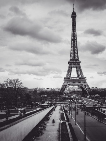 A vertical grayscale shot of the Eiffel Towerの写真素材