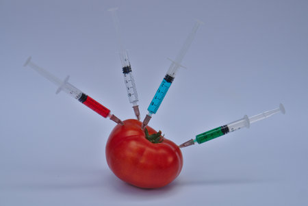 A tomato with syringes against a white background. A GMO concept or modifying foodの写真素材