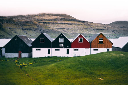 A horizontal view of colourful farmhouses at the coast on green grass groundの写真素材