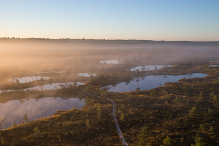 View on the fog clad peat bog with bog lakes and wooden boardwalk in Mukri bog Nature reserve, Rapla county, Estoniaの写真素材