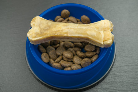 A top view of the chewing bone and dog food in a blue dog bowlの写真素材