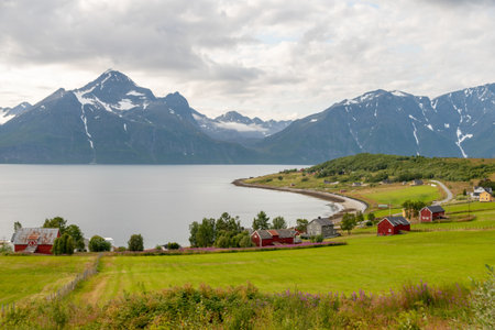 The incredible view of the green meadows and red cottages  in Northern Norway, between TromsÃ¸ and Altaの写真素材