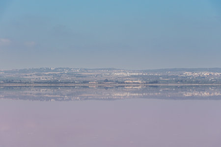A closeup shot of a lake reflecting landscapes