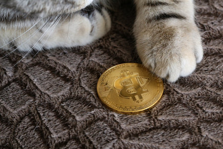 A selective focus shot of a golden bitcoin. Cryptocurrency