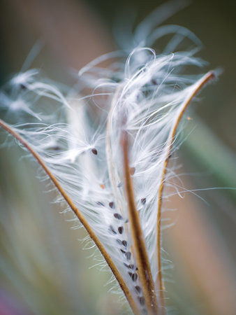 A vertical shot of hairy willowherb under the sunlight on a blurry background