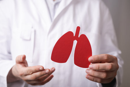 The papercut of the lungs in the hands of a doctorの写真素材