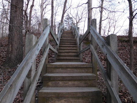 A closeup shot of a staircase in a park