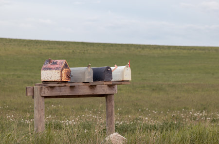 A row of old mailboxes in a country field.の写真素材